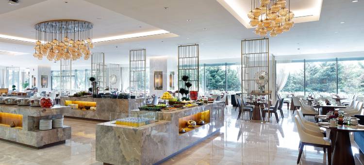 伊斯坦布尔洲际酒店(InterContinental Istanbul)图片