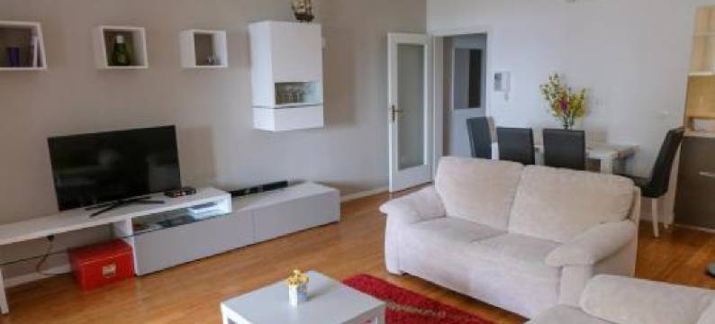 夏季公寓(Apartment Summertime)图片