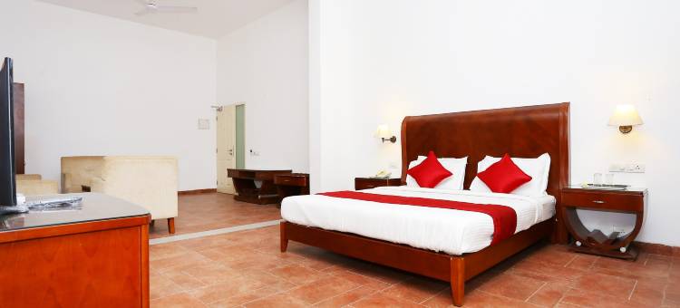 首都 O 29855 岛屿旅馆(Super Townhouse Island Inn)图片