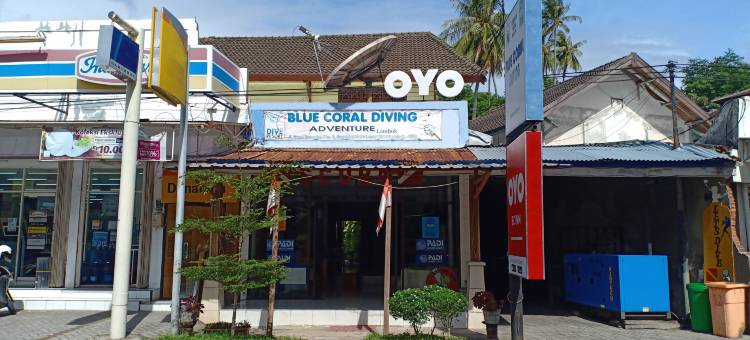 蓝珊瑚旅馆(Blue Coral Inn)图片