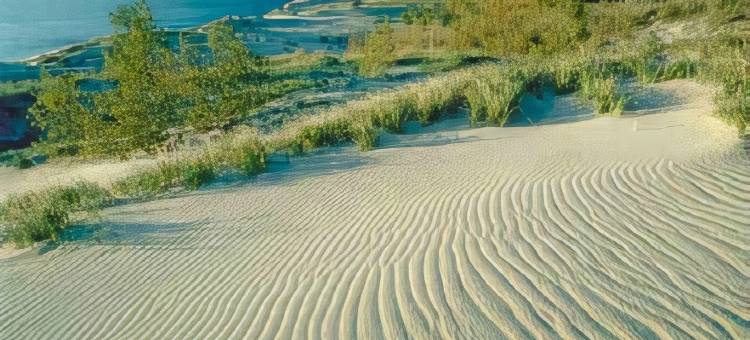 梅里尔维尔希尔顿Spark酒店(Spark by Hilton Merrillville)图片