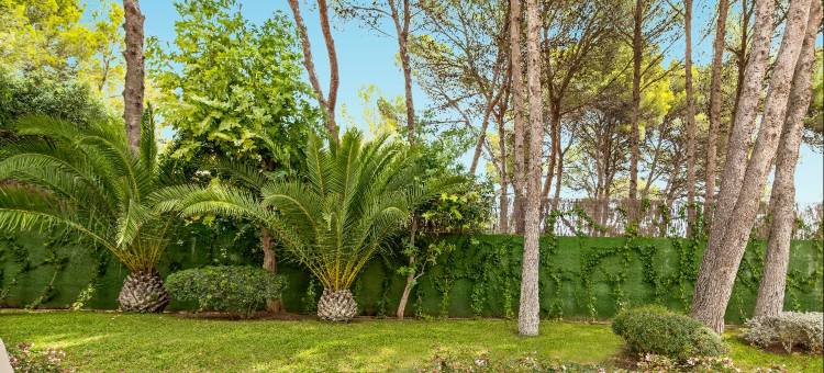 伊波罗之星海浪皮诺斯公园酒店(Iberostar Waves Pinos Park)图片