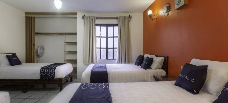 Capital O Hotel Villa de León图片