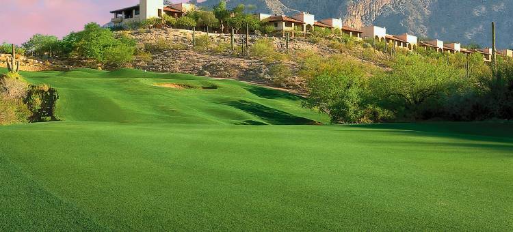 拉帕洛玛威斯汀水疗度假村(The Westin la Paloma Resort & Spa)图片