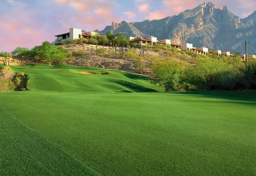 The Westin la Paloma Resort & Spa Hotel Overview
