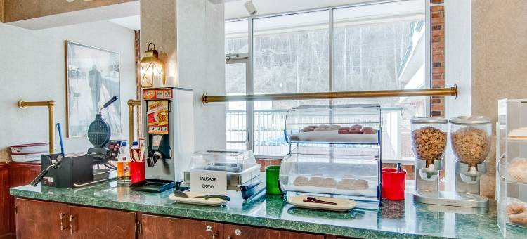 伊克诺旅馆(Econo Lodge Martinsville)图片