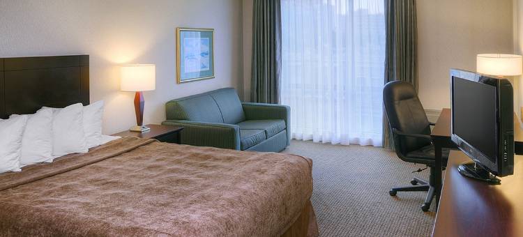 蒙特利尔东凯艺套房酒店(Quality Inn and Suites Montreal East)图片