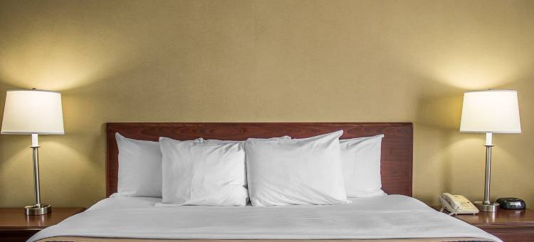 舒适酒店(Comfort Inn)图片