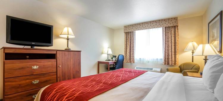 SureStay Plus Hotel by Best Western Buffalo图片