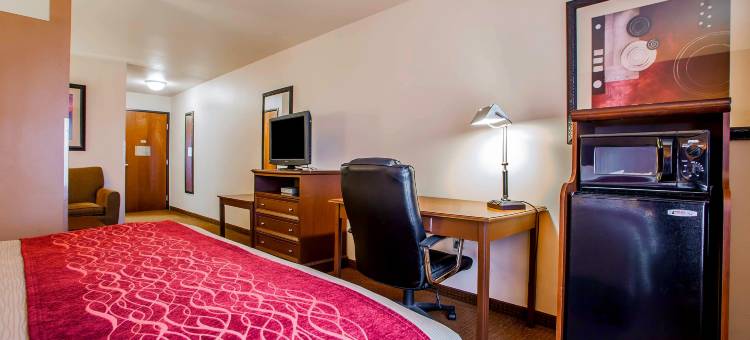 格林内尔舒适套房酒店 - 近 I-80(Comfort Inn & Suites Grinnell Near I-80)图片