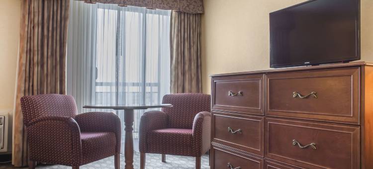 尼亚加拉瀑布舒适酒店(Comfort Inn Fallsview)图片