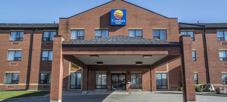 霍霍港舒适酒店(Comfort Inn)图片