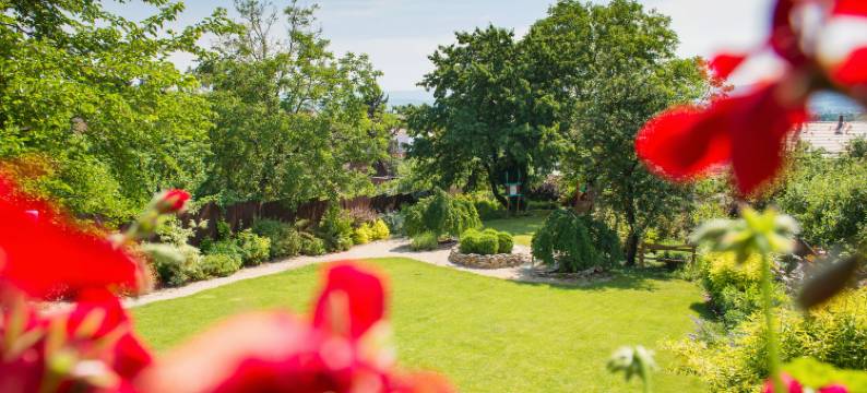 贝拉希酒店(Hotel Belassi)图片