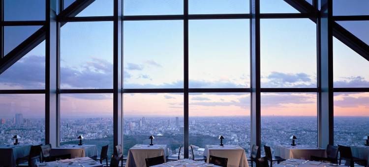 东京柏悦大酒店(Park Hyatt Tokyo)图片