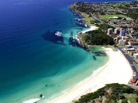 福斯特棕榈树汽车旅馆