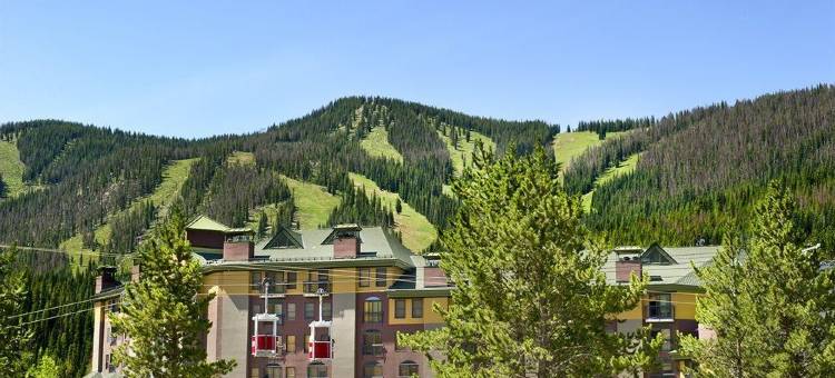 复古酒店(The Vintage Hotel)图片