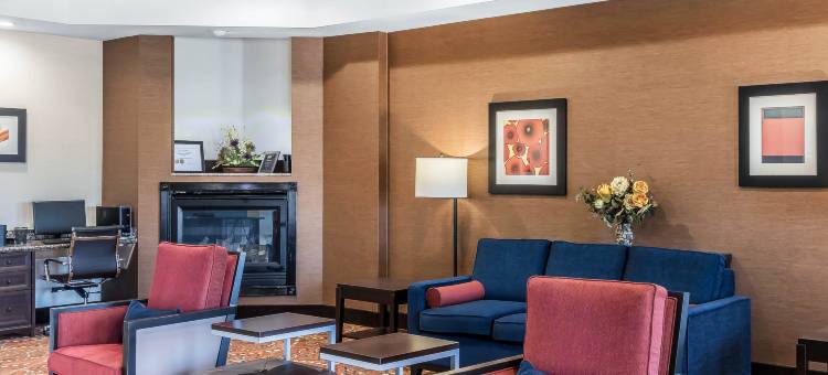 近伯特利学院舒适套房酒店(Comfort Inn & Suites Near Bethel College)图片