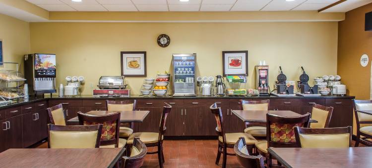 路易斯堡舒适套房酒店(Comfort Suites Lewisburg)图片