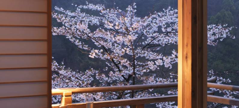 虹夕诺雅 京都(HOSHINOYA Kyoto)图片