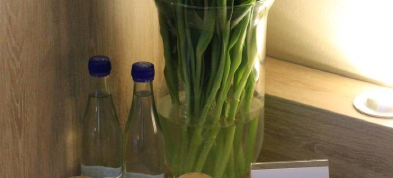 派尔酒店(Pur Hotel)图片