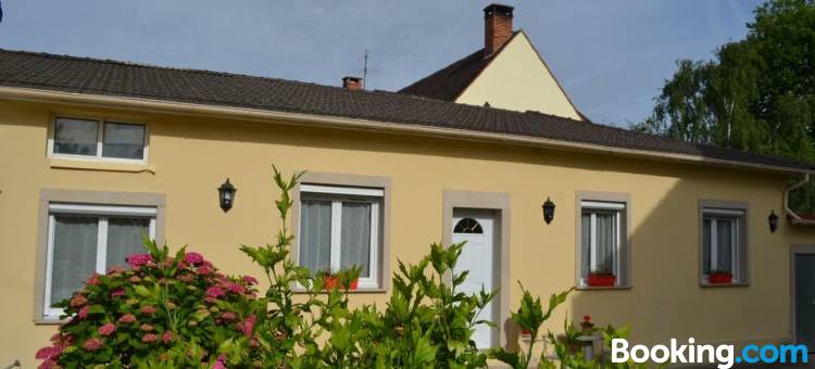 南洋杉酒店(L'Araucaria)图片