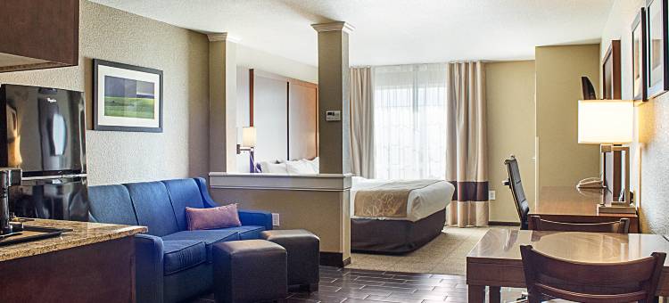 迈诺特舒适套房酒店(Comfort Suites)图片