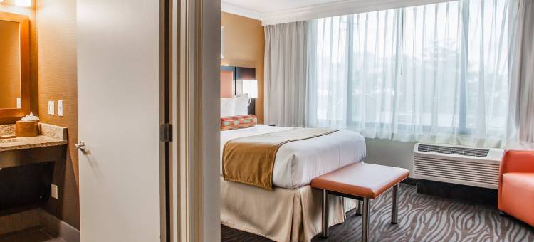 洲际酒店集团旗下纳什维尔市中心体育场假日酒店(Holiday Inn Nashville Downtown - Stadium)图片