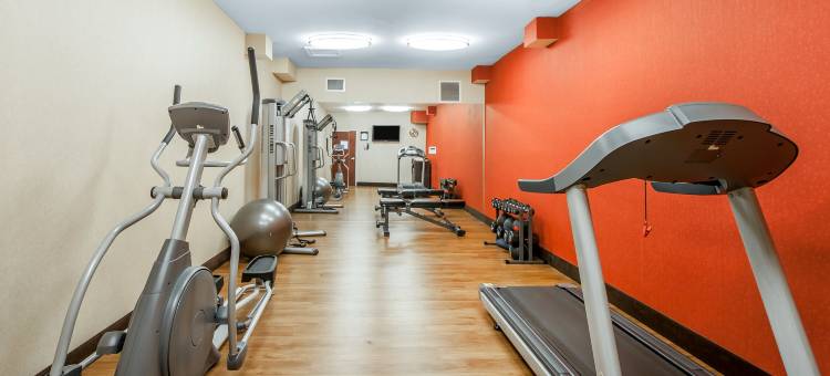 舒适酒店-莱星顿南(Comfort Inn Lexington South)图片