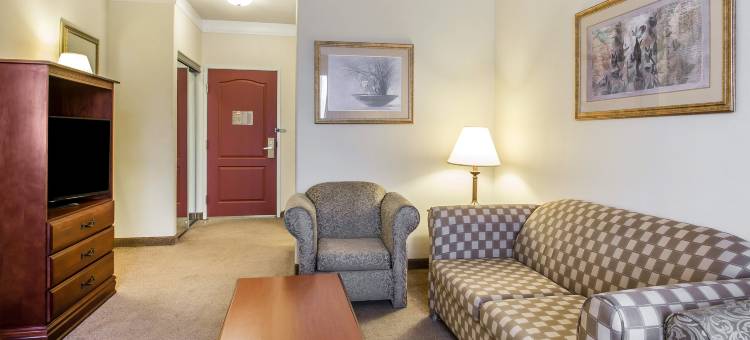 伊克诺套房旅馆(Econo Lodge Inn & Suites)图片