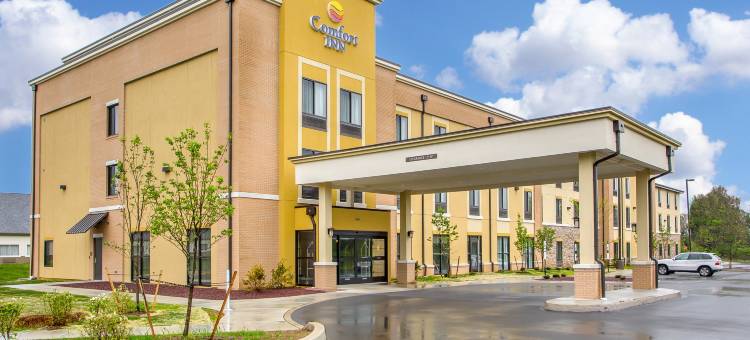 舒适酒店(Comfort Inn)图片