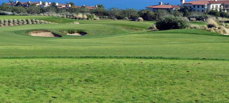 洛杉矶托伦斯/帕洛斯弗德斯万怡酒店(Courtyard Los Angeles Torrance/Palos Verdes)图片