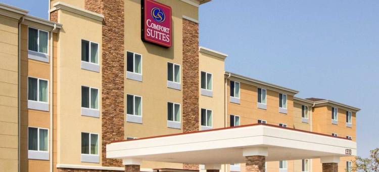 拉皮德城舒适套房酒店及会议中心(Comfort Suites Conference Center Rapid City)图片
