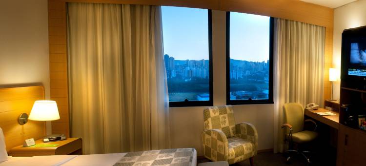 安海比公园假日酒店(Holiday Inn Parque Anhembi)图片