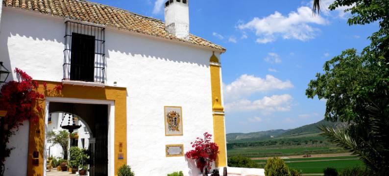 撒提斯卡尔庄园酒店(Hacienda El Santiscal)图片