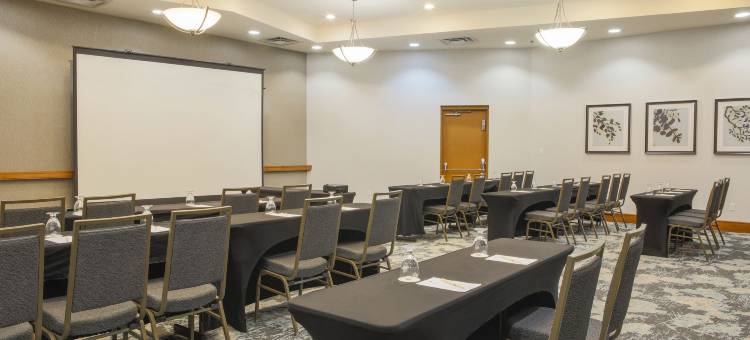 罗彻斯特希尔顿逸林酒店(DoubleTree by Hilton Hotel Rochester)图片