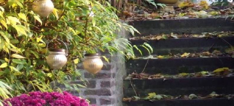 弗拉格公寓(Apartement Flagey)图片