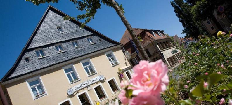 金狮布鲁恩酒店(Brauerei-Gasthof Goldener Löwe)图片