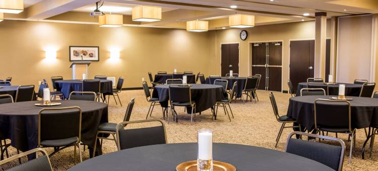 明尼阿波里斯-马普勒格罗韦坎布里亚酒店(Cambria Hotel Minneapolis Maple Grove)图片