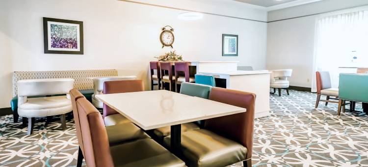 杜马拉昆塔温德姆套房酒店(La Quinta Inn & Suites by Wyndham Dumas)图片