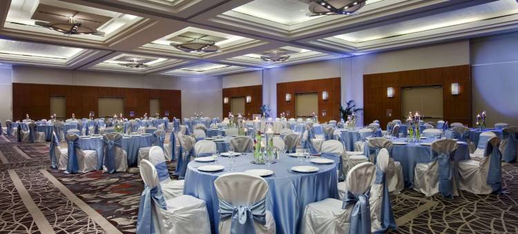 芝加哥市中心华丽一英里希尔顿安泊酒店(Embassy Suites by Hilton Chicago Downtown Magnificent Mile)图片