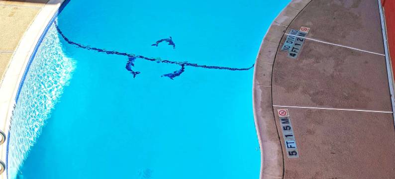 布朗斯维尔美洲最佳价值酒店(Americas Best Value Inn Brownsville/Padre Island Highway)图片