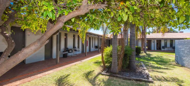 冬日阳光汽车酒店(Nightcap at Wintersun Hotel)图片