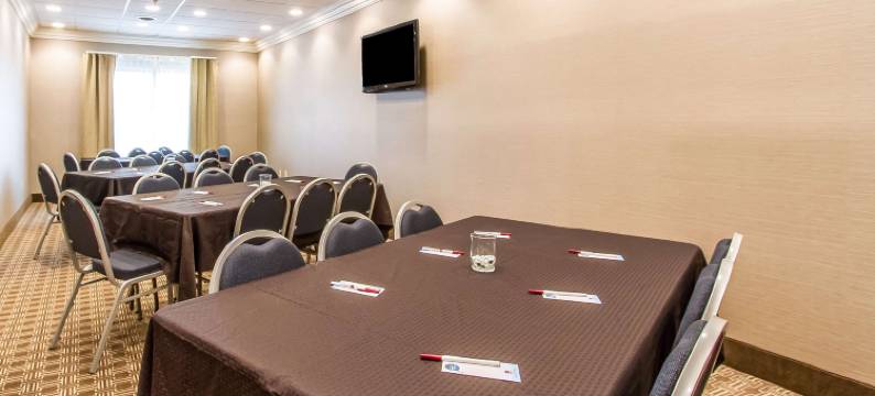 马图恩东部舒适套房酒店(Comfort Suites Mattoon East)图片