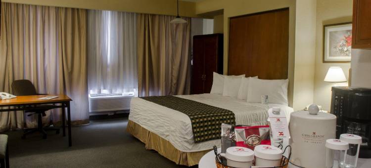 华瑞兹城假日酒店(Holiday Inn Ciudad Juarez)图片