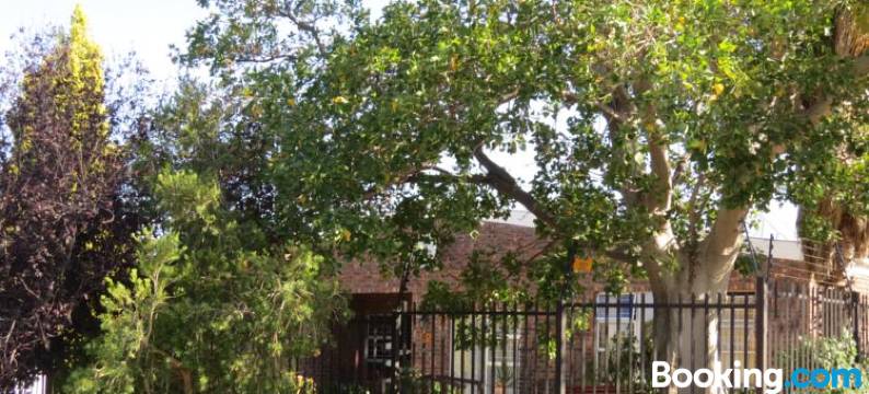 Coral Tree Guest Rooms图片