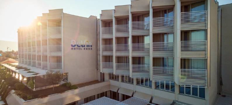 Carine德尔芬酒店(Carine Hotel Delfin)图片