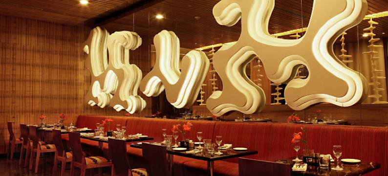 大都会酒店及水疗中心(The Metropolitan Hotel & Spa New Delhi)图片