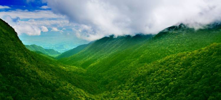 Alba Wellness Valley by Fusion图片