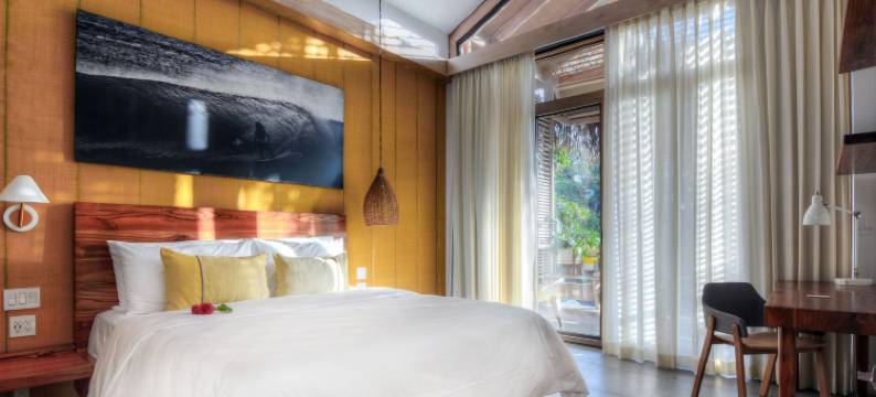 格莱迪伊瓜纳冲浪酒店(The Gilded Iguana)图片