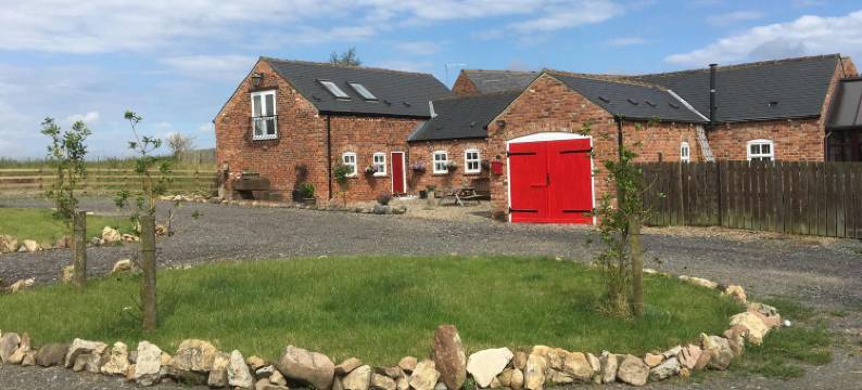 斯塔施尼泽酒店(Starshinezzz)图片